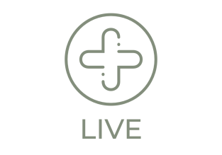 Live Icon Box Logo